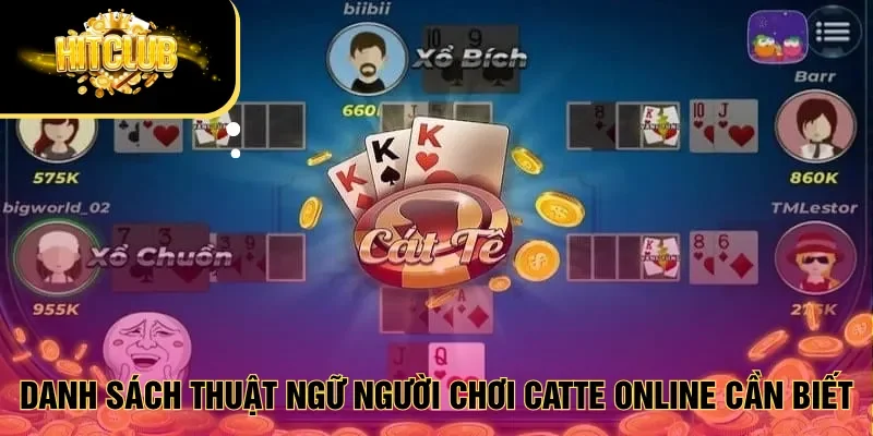 Danh sách thuật ngữ người chơi Catte online cần biết